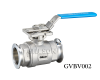 2 PC Clamp Ball Valve with ISO 5211 Direct Mounting Pad